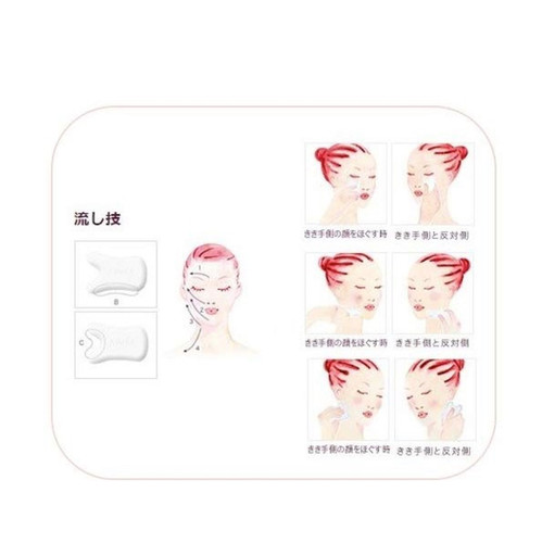 AYURA Bicassa Plate Premium