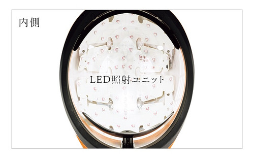 Hair Repro LED Premium – scalp care device