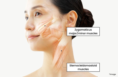 Ya-man Liftlogy Pro – facial device