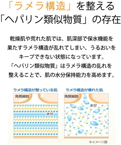 Lamellar structure of the skin: healthy on the left, damaged/dry on the right. Lamellar structure of the skin: healthy on the left, damaged/dry on the right.