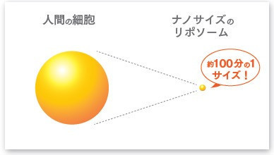 Nanoliposome Nano Vitamin