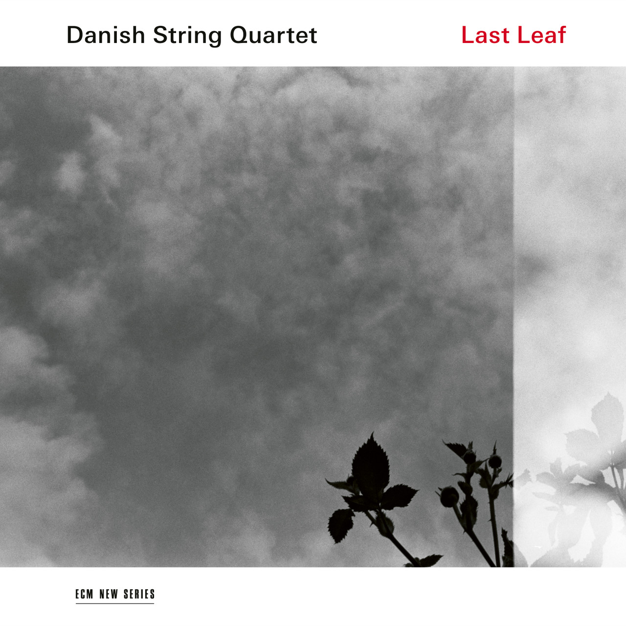 Jazz Vinyl | Danish String Quartet: Last Leaf - LP 180g, ECM