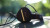 Crosszone CZ-10 Enhanced - Real Sound Closed Dynamic Over-Ear Headphones, Made in Japan