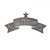 Senior Patrol Rifle Pin Senior Patrol Rifle Pin