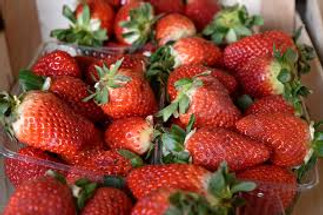 CBD Oil Can Prolong Produce Shelf Life 