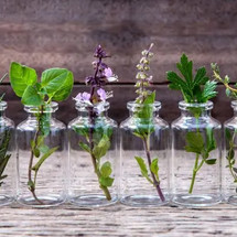 The Amazing Benefits Of Essential Oils