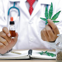 Scientists Discover a Potential COVID-19 Blocker in Medical Cannabis Plant