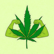 How Adding CBD To An Already Healthy Activity Is Great For You