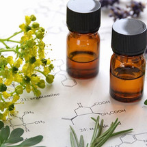 THE EFFECTS OF ESSENTIAL OIL