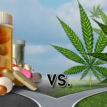 Study Shows Nearly Half of CBD Users Are Able to Stop Taking Pharmaceuticals