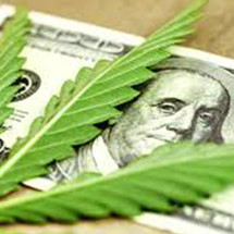 How to get your moneys worth with CBD