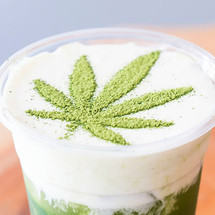 HOW TO BREW CBD TEA. HOW MILK/FAT DRAWS OUT THE CANNABINOIDS