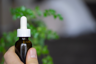 What is Hemp Oil Extract?: A Crash Course on the Basics & Benefits of Hemp Oil
