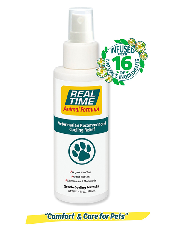 Real Time Pain Relief ANIMAL Formula - Natural Relief for Pets