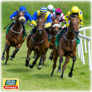 10 of the Fastest Racehorses in History