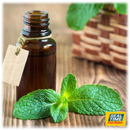 6 Reasons to Love Peppermint Oil