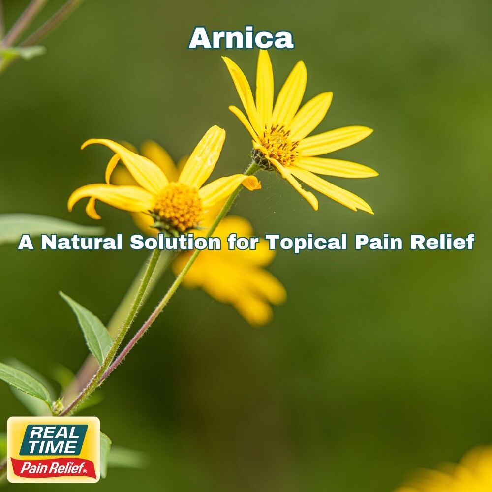 Arnica Montana: A Natural Solution for Topical Pain Relief