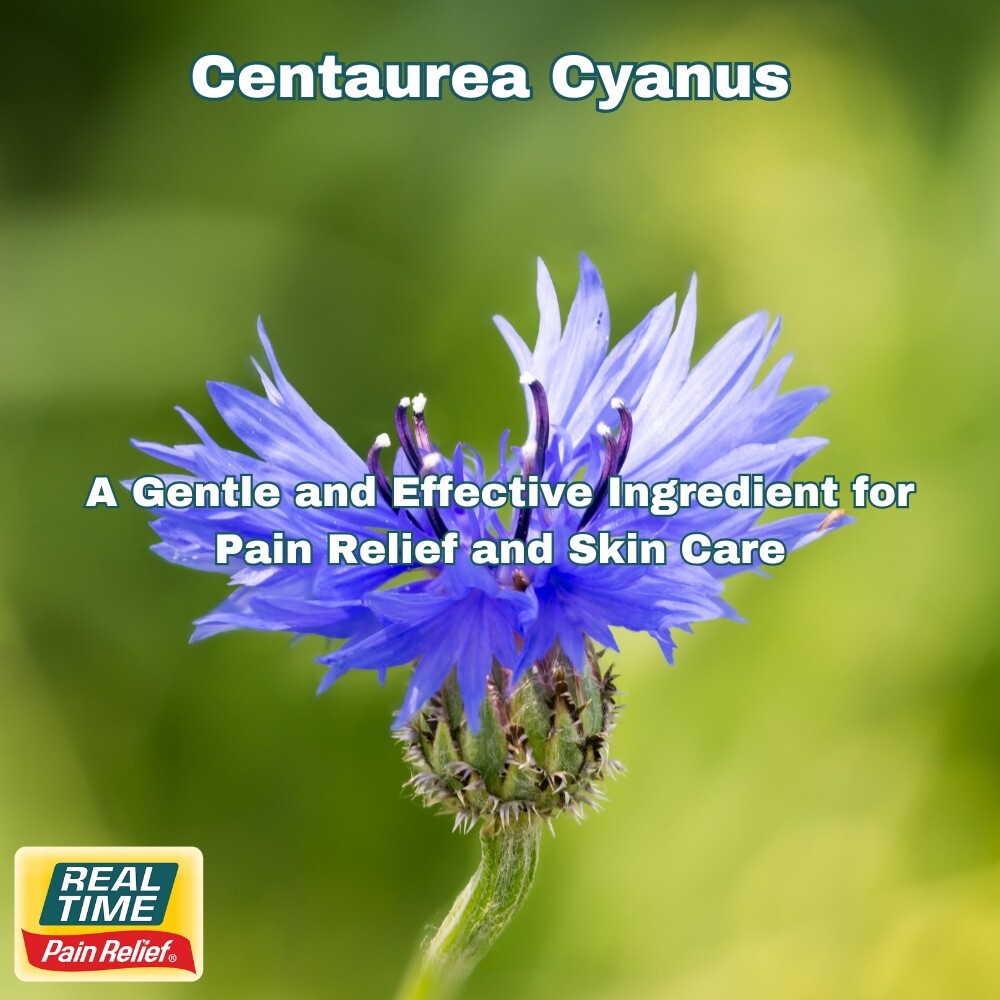 Centaurea Cyanus (Cornflower Extract): A Gentle and Effective Ingredient for Pain Relief and Skin Care