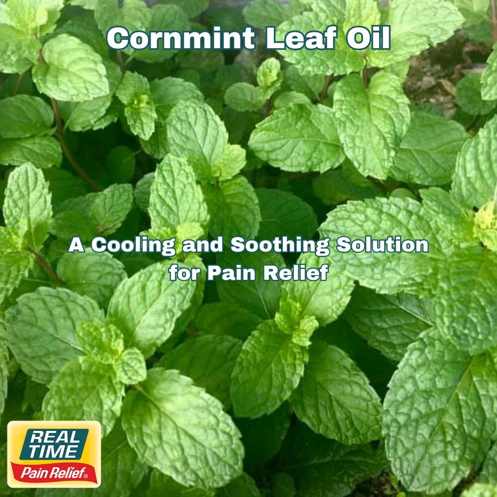 Cornmint Leaf Oil: A Cooling and Soothing Solution for Pain Relief