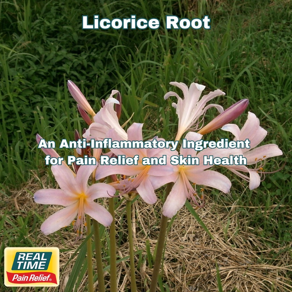 Licorice Root Extract: A Soothing and Anti-Inflammatory Ingredient for Pain Relief and Skin Health