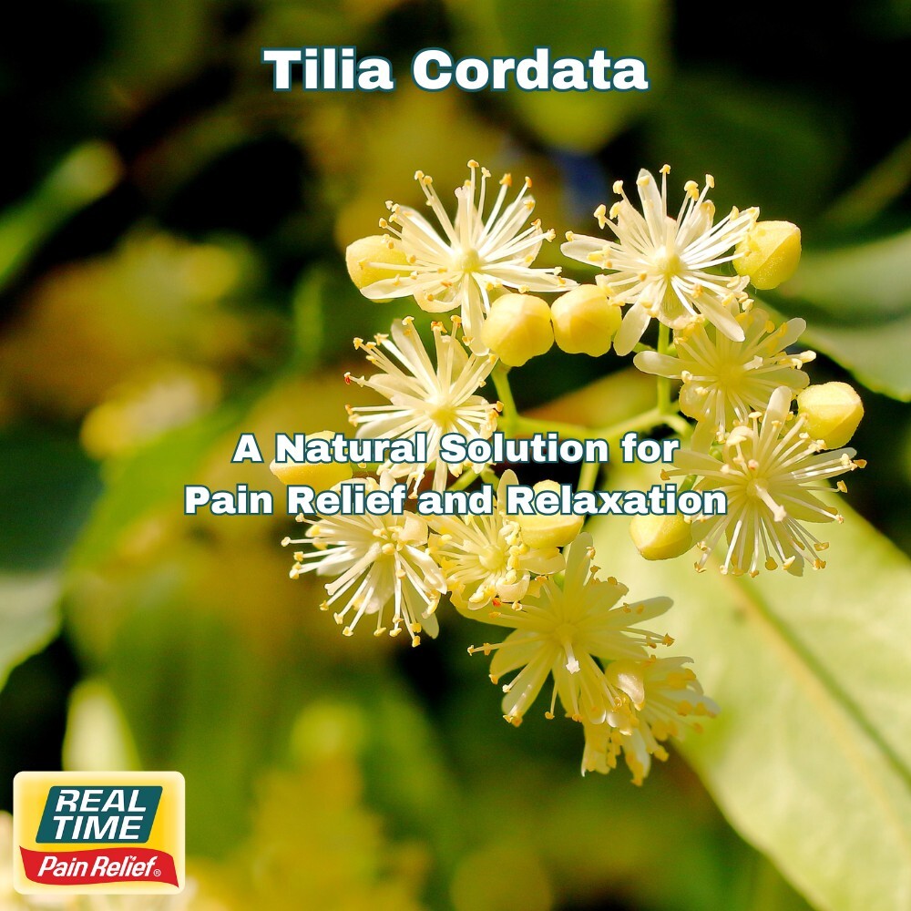Tilia Cordata (Lime Tree) Extract: A Natural Solution for Pain Relief and Relaxation
