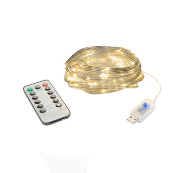 30' LED Outdoor String Lights with Remote