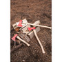 Camp Axe with Carbon Steel Head - Long Handle