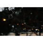 30' LED Outdoor String Lights with Remote