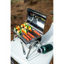 Stainless Steel Propane BBQ Grill