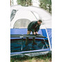 Heavy Duty G.I. Cot