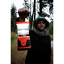 Mosquito Head Net
