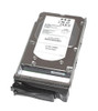 35313-04 LSI 300GB 15000RPM Fibre Channel 4Gbps 16MB Cache 3.5-inch Internal Hard Drive