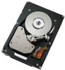 0B22171 Hitachi Ultrastar 15K300 300GB 15000RPM Fibre Channel 4Gbps 16MB Cache 3.5-inch Internal Hard Drive