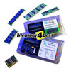 GPM16X72RVN84-60EG Preton 128MB3.3V 4K-Refresh 60NS EDO Buffered ECC 168-Pin DIMM Memory Module (8X8)