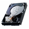 HP 160GB 5400RPM SATA 3Gbps 8MB Cache 2.5-inch Internal Hard Drive