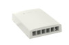 Panduit 6-Port Surface Mount Unloaded Net-Key Off White