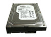 0YMCF3 Dell 250GB 7200RPM SATA 6Gbps 16MB Cache 3.5-inch Internal Hard Drive