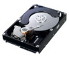 HD256GM Samsung Spinpoint 250GB 7200RPM SATA 6Gbps 16MB Cache 3.5-inch Internal Hard Drive