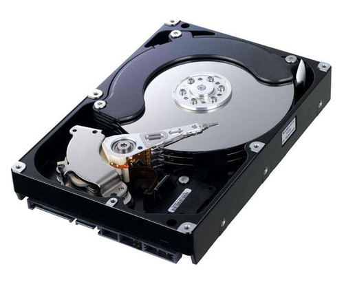 HD256GM Samsung Spinpoint 250GB 7200RPM SATA 6Gbps 16MB Cache 3.5-inch Internal Hard Drive