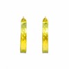 Small Gold Titanium Hoop Earrings