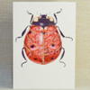 Farmers Friend Greeting Card