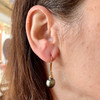 Tahitian Pearl Earrings