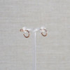 Rose Gold Interchange Earrings