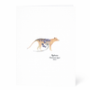 Tasmanian Tiger Greeting Card