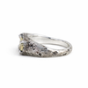 Silver & Gold Small Terra Rectangle Ring