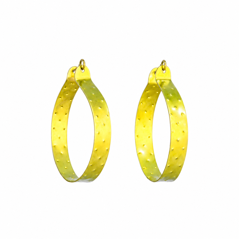 Small Gold Titanium Hoop Earrings
