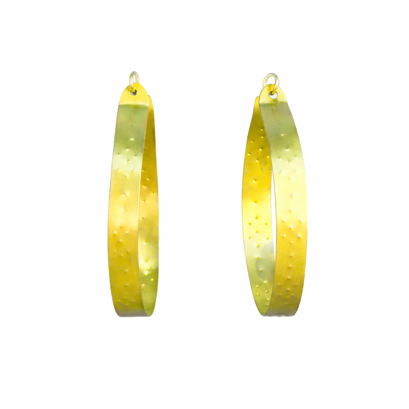 Medium Gold Titanium Hoop Earrings