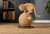 Kitty Power Paws Sphere Scratching Post