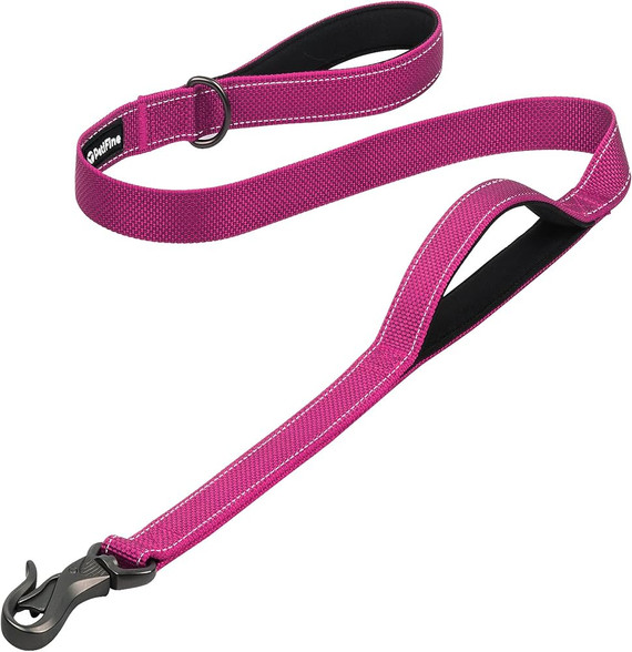 Double Nylon Lead 4'