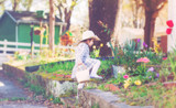Your Guide to Taking Care of Hydrangeas